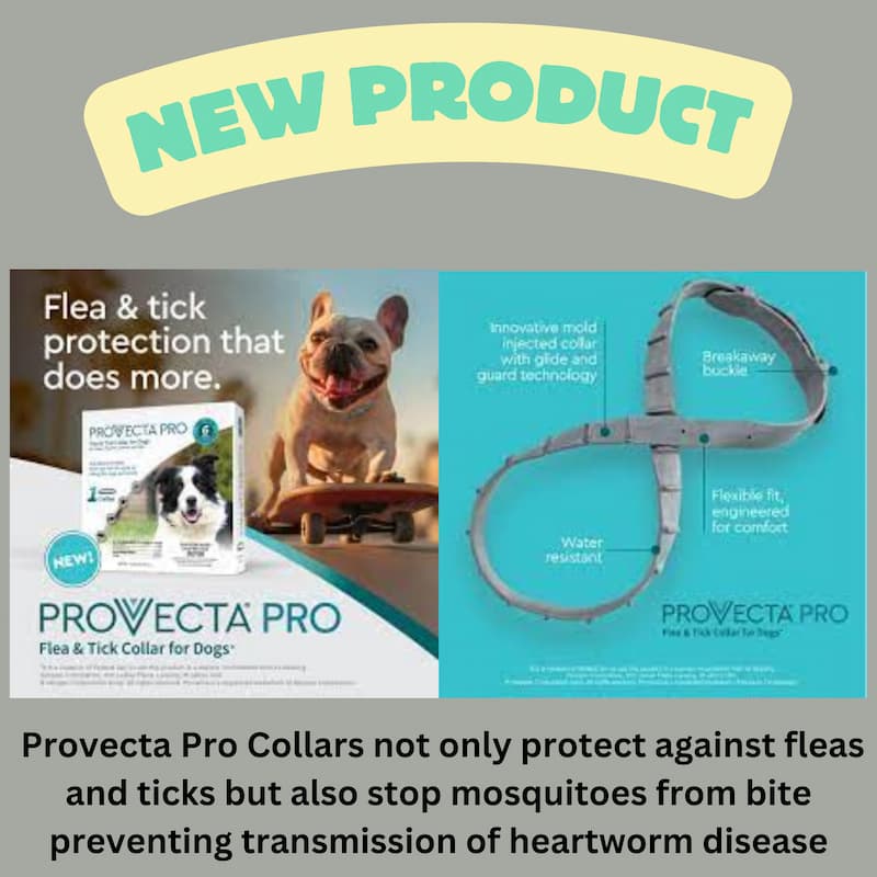 Heartworm Prevention Month Heartworm Prevention Month