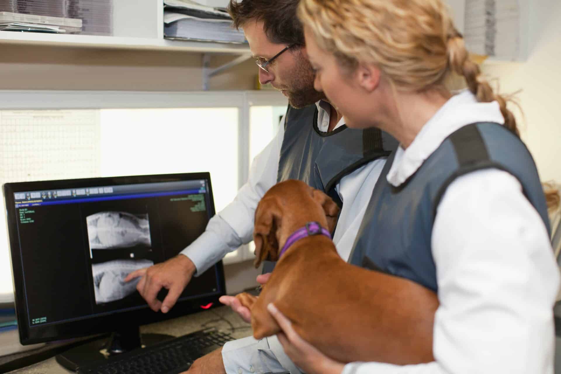 Diagnostics and Imaging