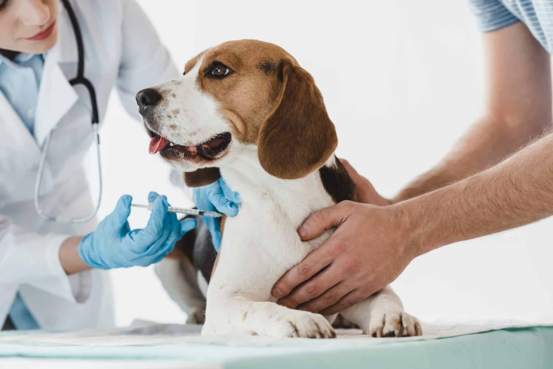 Lifestyle-Specific Vaccines for the Lakes Region