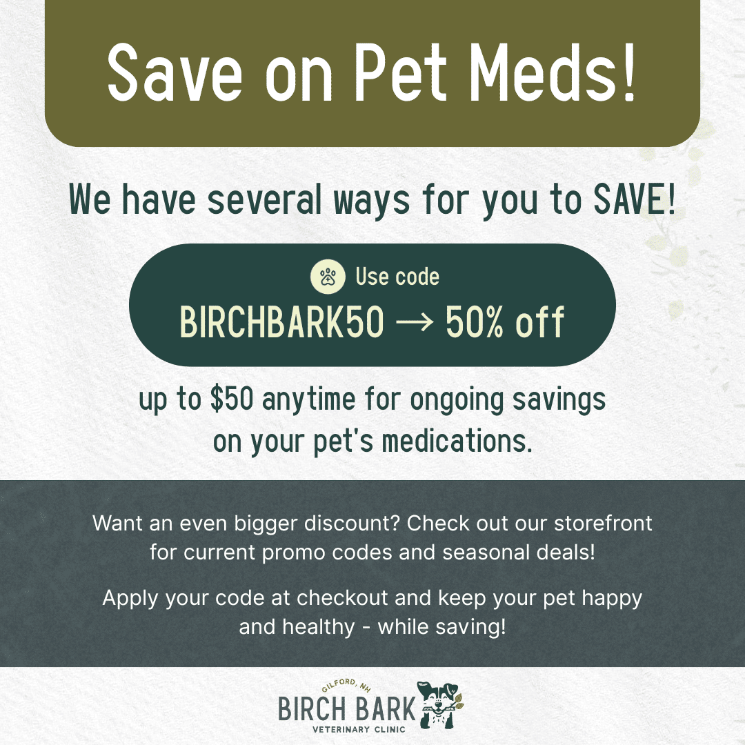 Save on Pet Meds