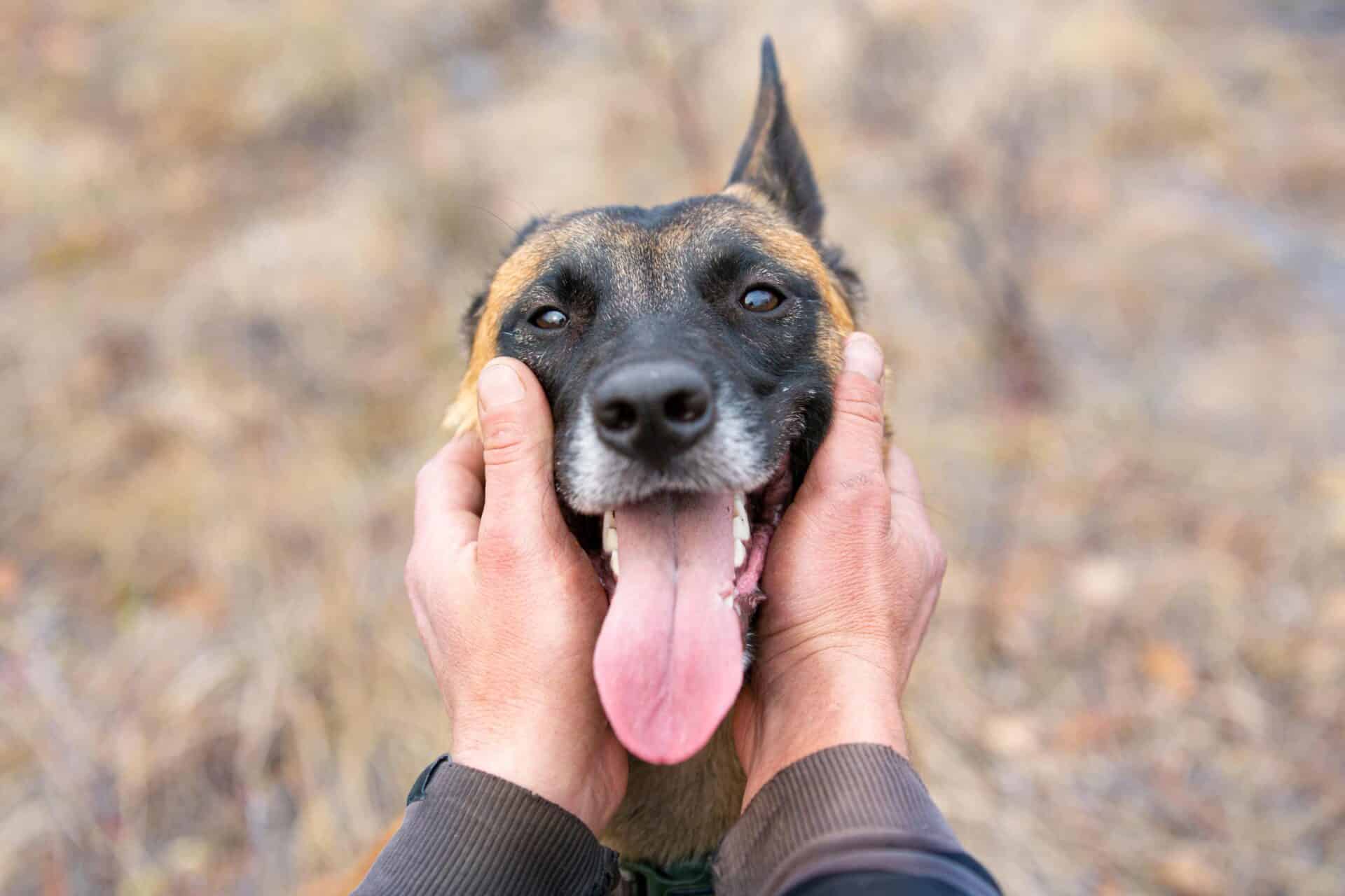 The Birch Barkers Fund