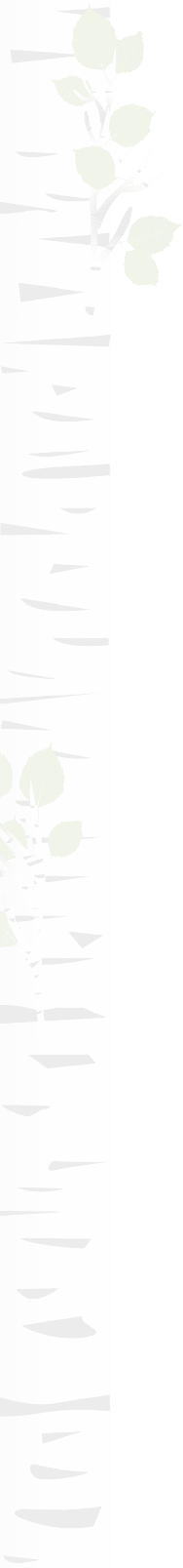 Vertical Leaves